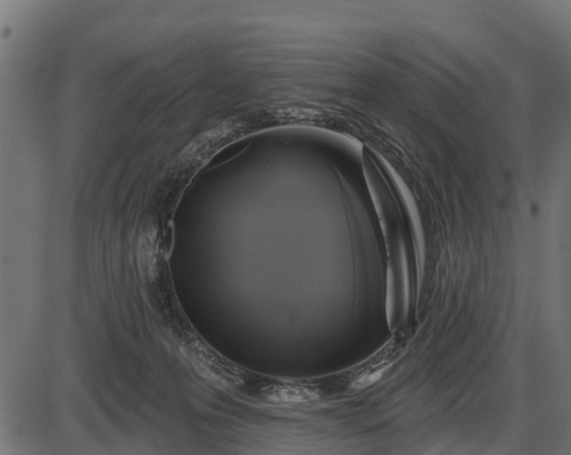 X0000086300223200704091029