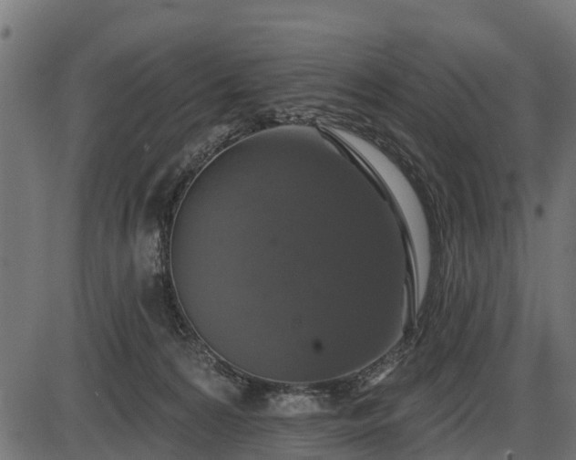 X0000086300224200704091029