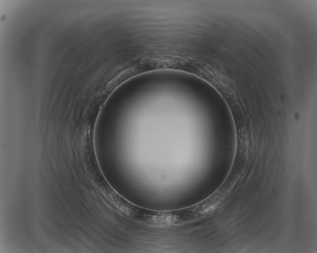 X0000086300225200704091029