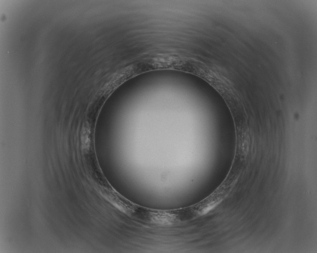 X0000086300226200704091029