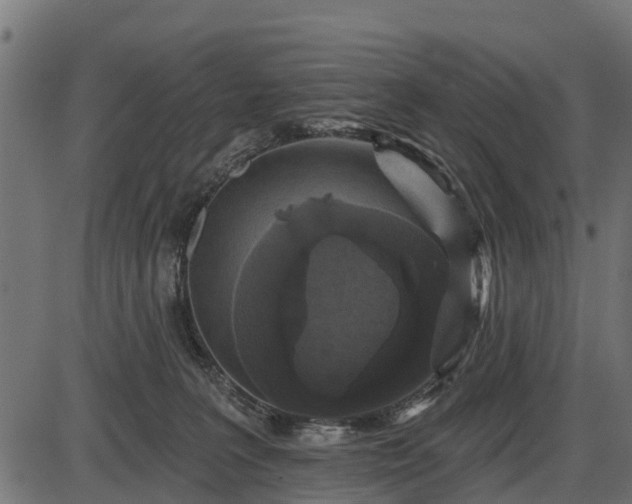 X0000086300227200704091029