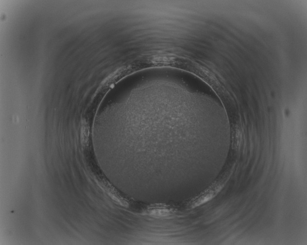 X0000086300228200704091029