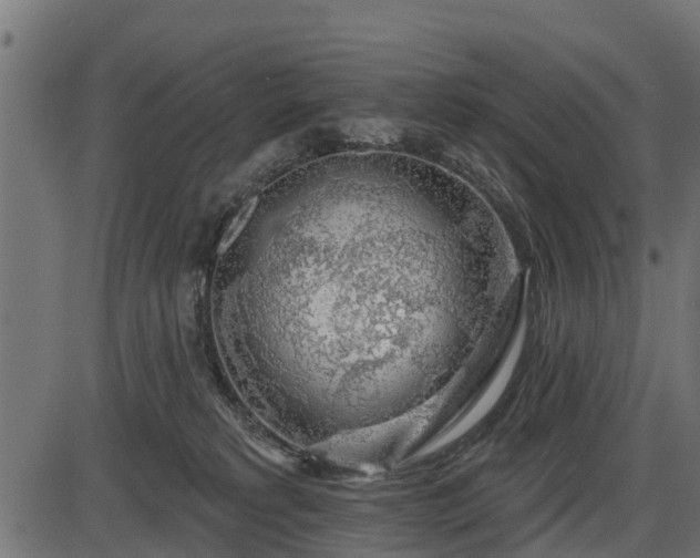 X0000086300229200704091029