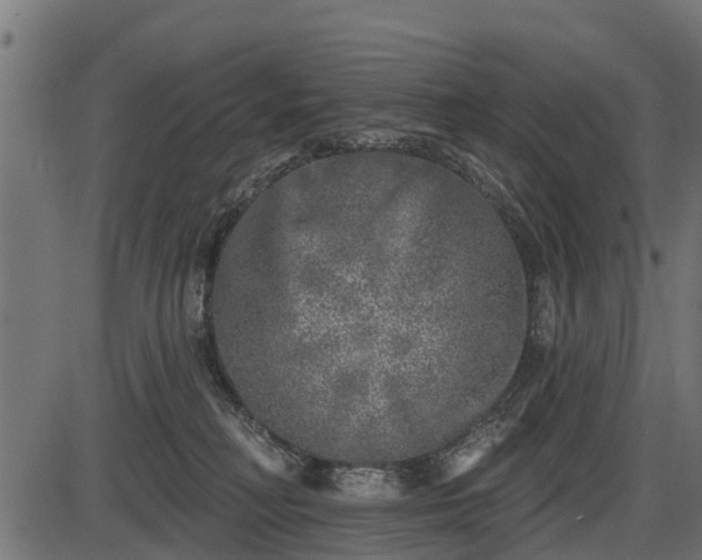 X0000086300230200704091029