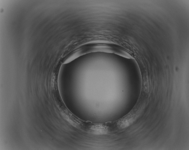 X0000086300231200704091029