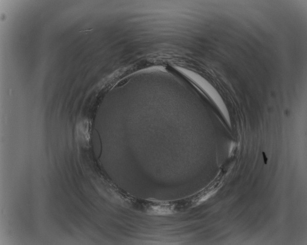 X0000086300232200704091029