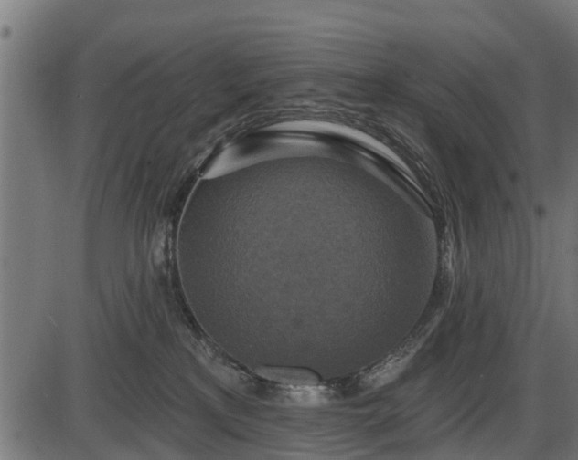 X0000086300233200704091029