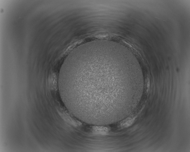 X0000086300234200704091029