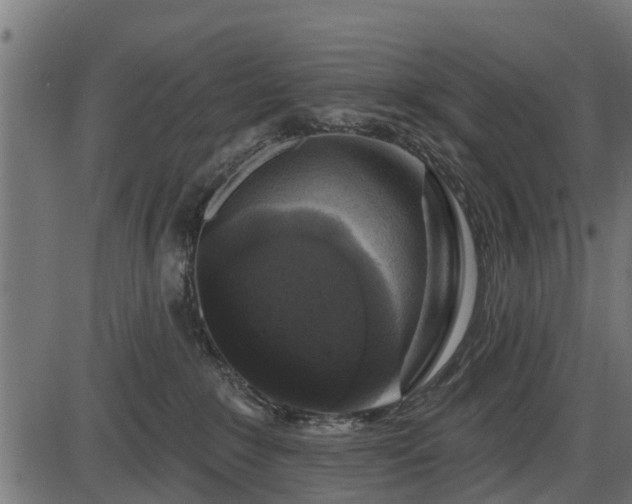 X0000086300235200704091029