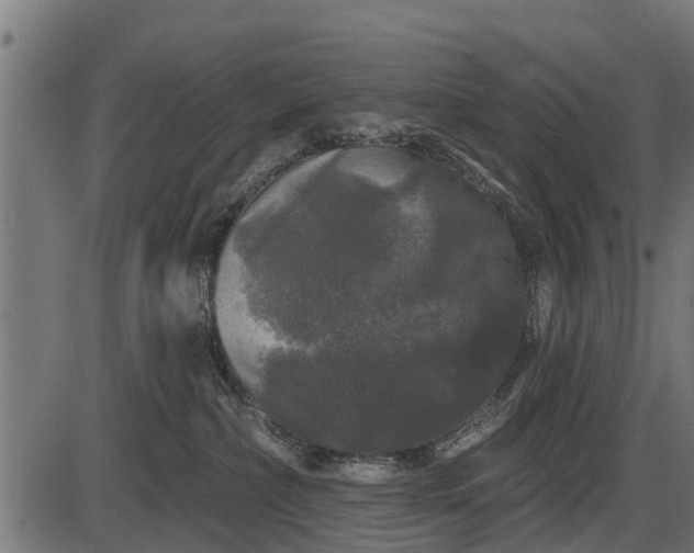 X0000086300236200704091029