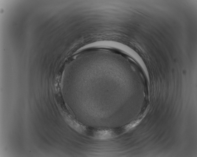 X0000086300237200704091029