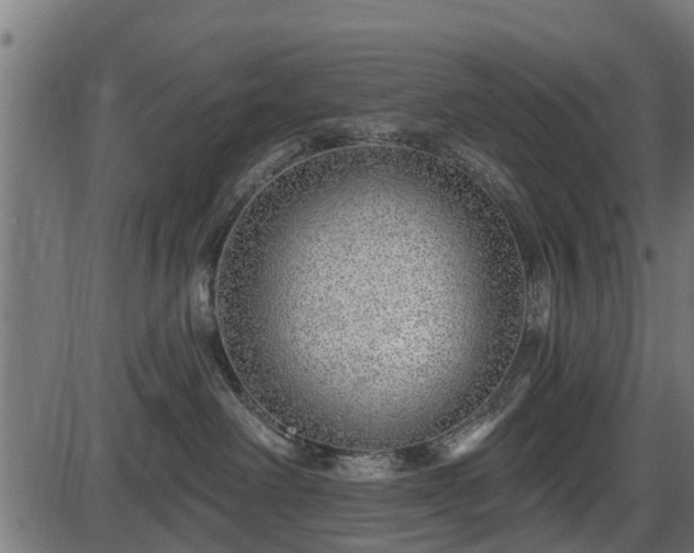 X0000086300238200704091029