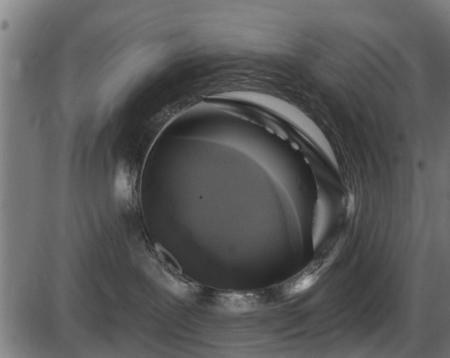 X0000086300239200704091029