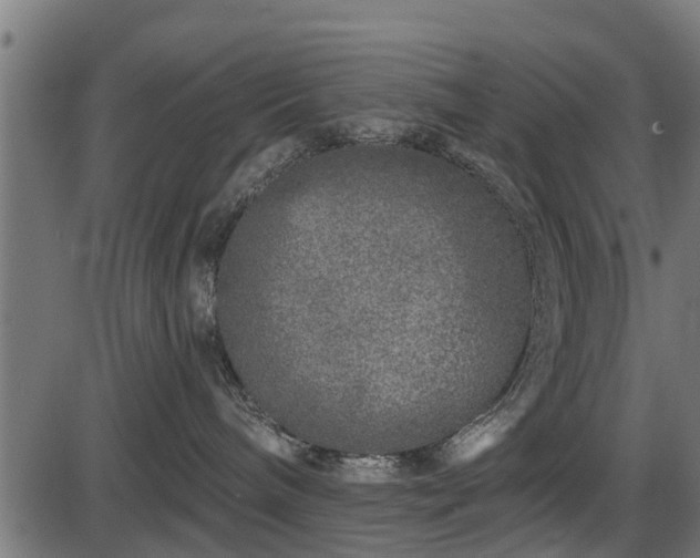 X0000086300240200704091029