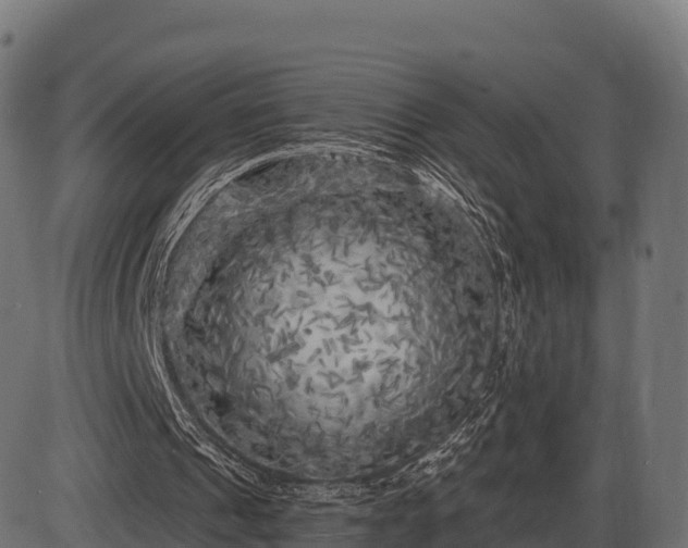 X0000086300241200704091028