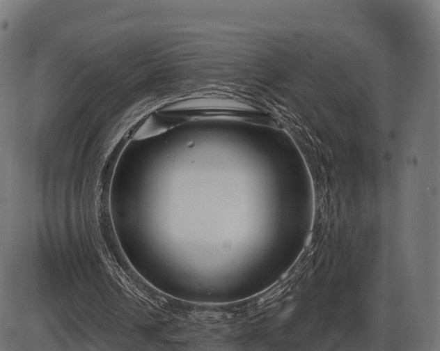 X0000086300242200704091028