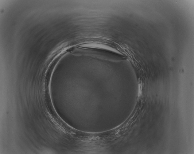 X0000086300243200704091028