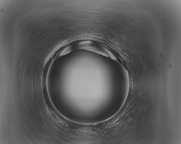 X0000086300244200704091028