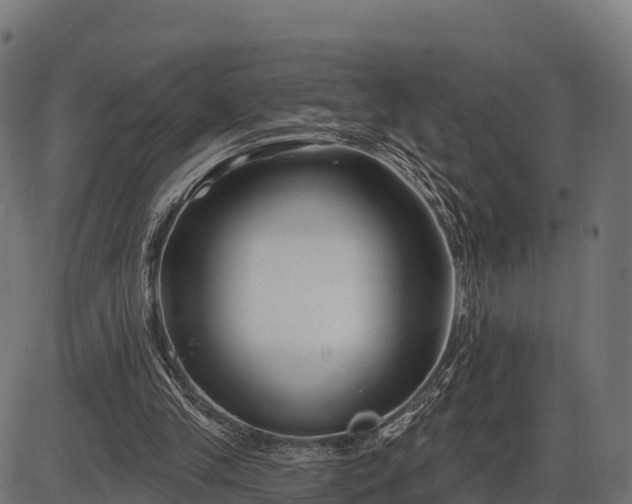 X0000086300245200704091028