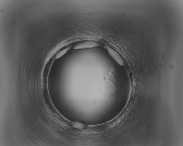 X0000086300246200704091028