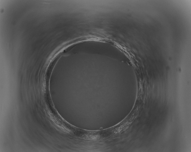 X0000086300247200704091028