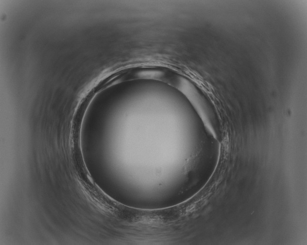 X0000086300248200704091028