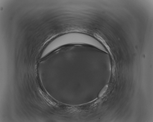 X0000086300249200704091028