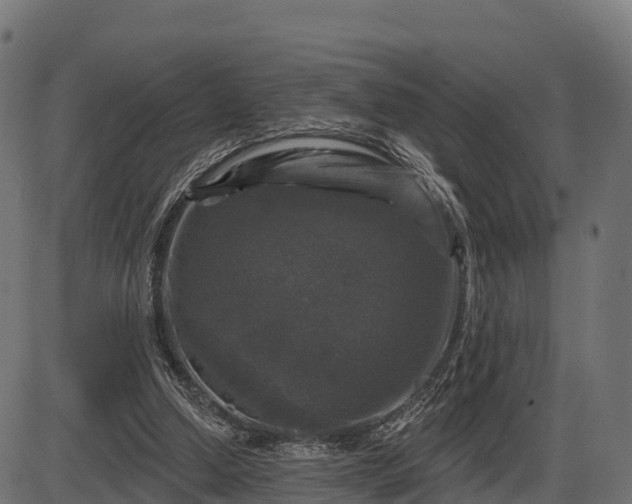 X0000086300250200704091028