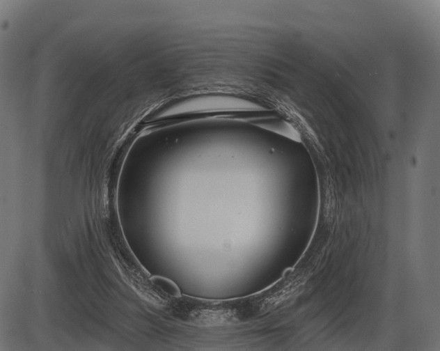 X0000086300251200704091028