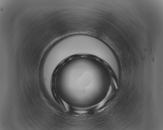 X0000086300252200704091028