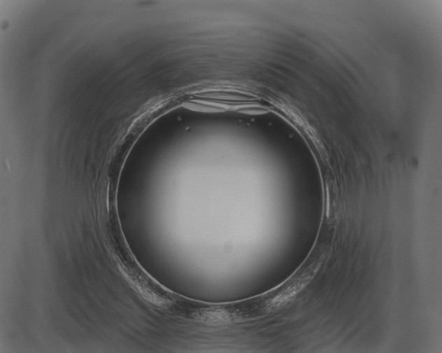 X0000086300253200704091028