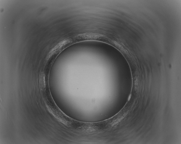 X0000086300254200704091028