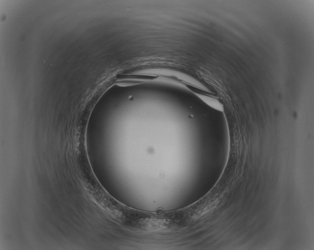 X0000086300255200704091028