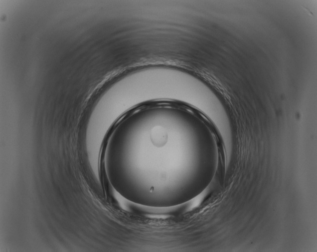 X0000086300256200704091028