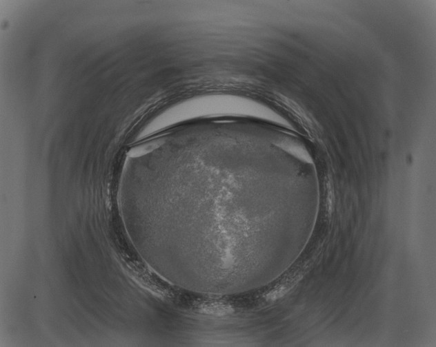 X0000086300258200704091029