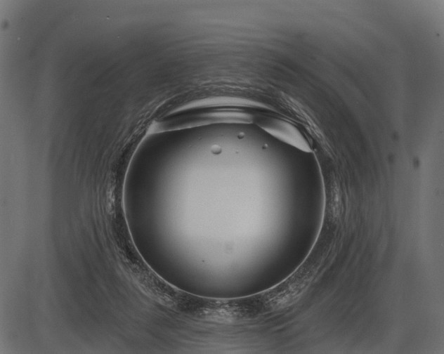 X0000086300259200704091029