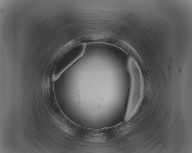 X0000086300260200704091029