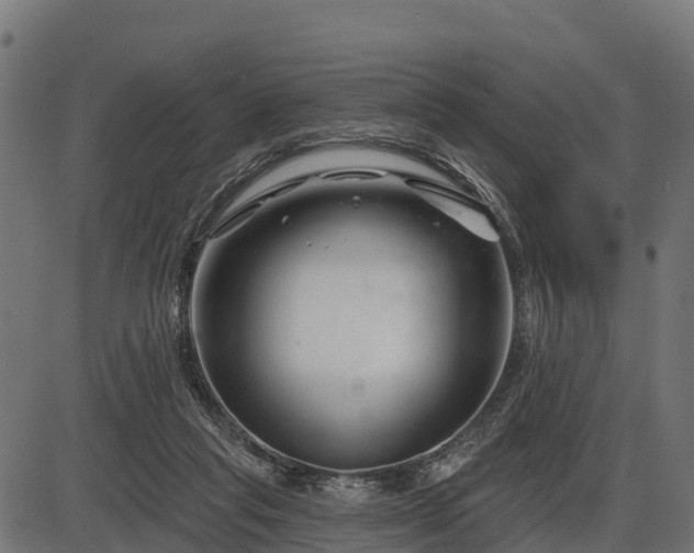 X0000086300261200704091029