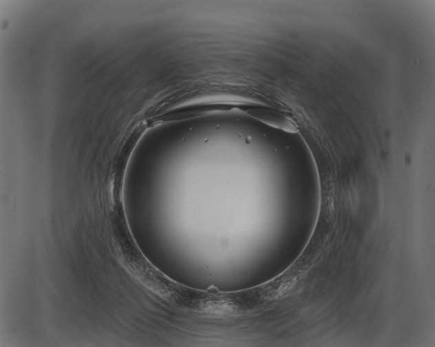 X0000086300262200704091029