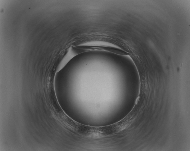 X0000086300263200704091029