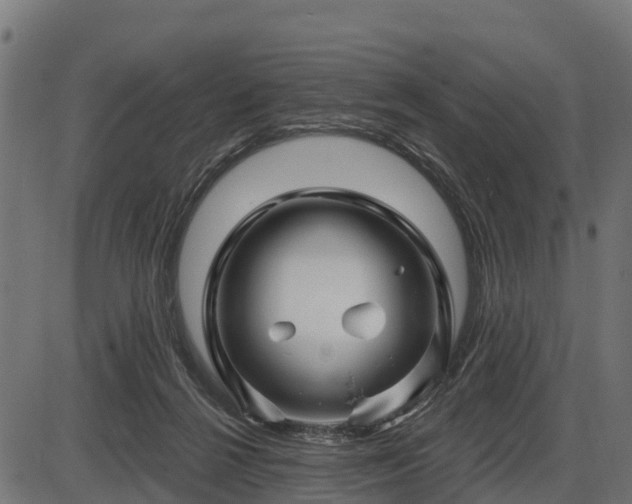 X0000086300264200704091029