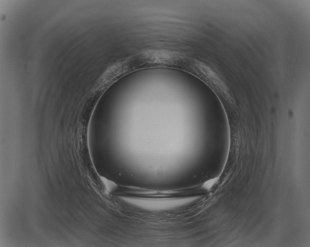 X0000086300265200704091029