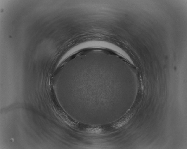 X0000086300266200704091029