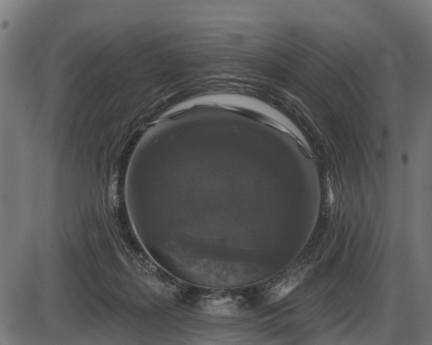 X0000086300267200704091029