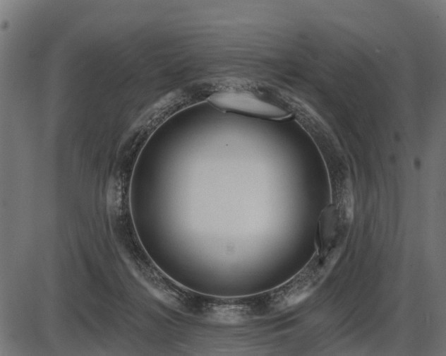 X0000086300268200704091029