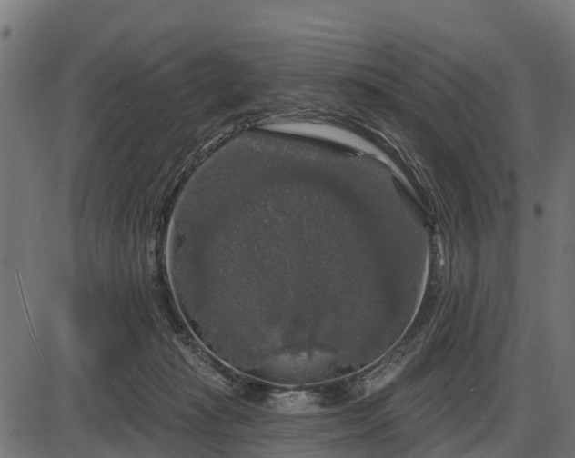 X0000086300269200704091029