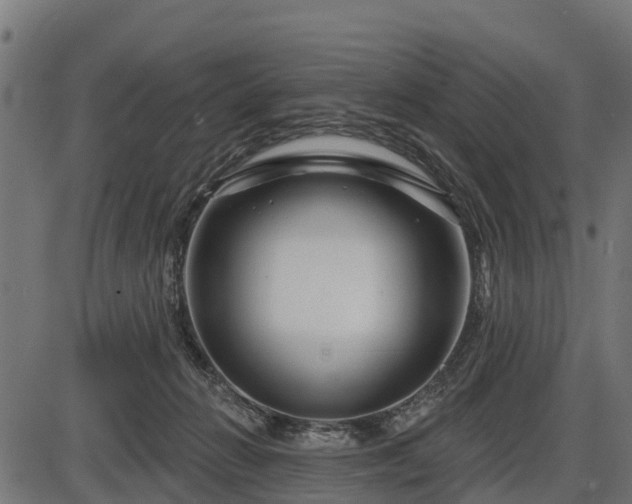 X0000086300270200704091029