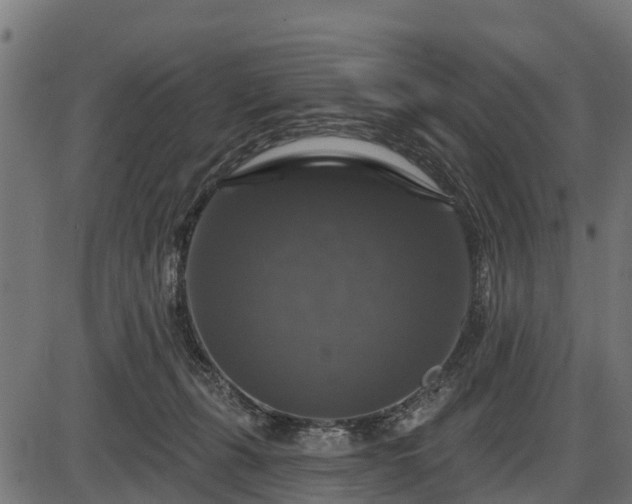 X0000086300271200704091029