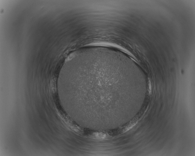 X0000086300272200704091029