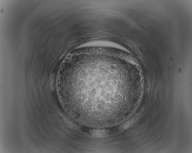 X0000086300273200704091029